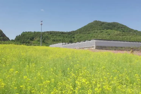 山东乡村振兴培训中心济南乡村振兴专题培训7天参考方案_山东乡村振兴培训中心方案